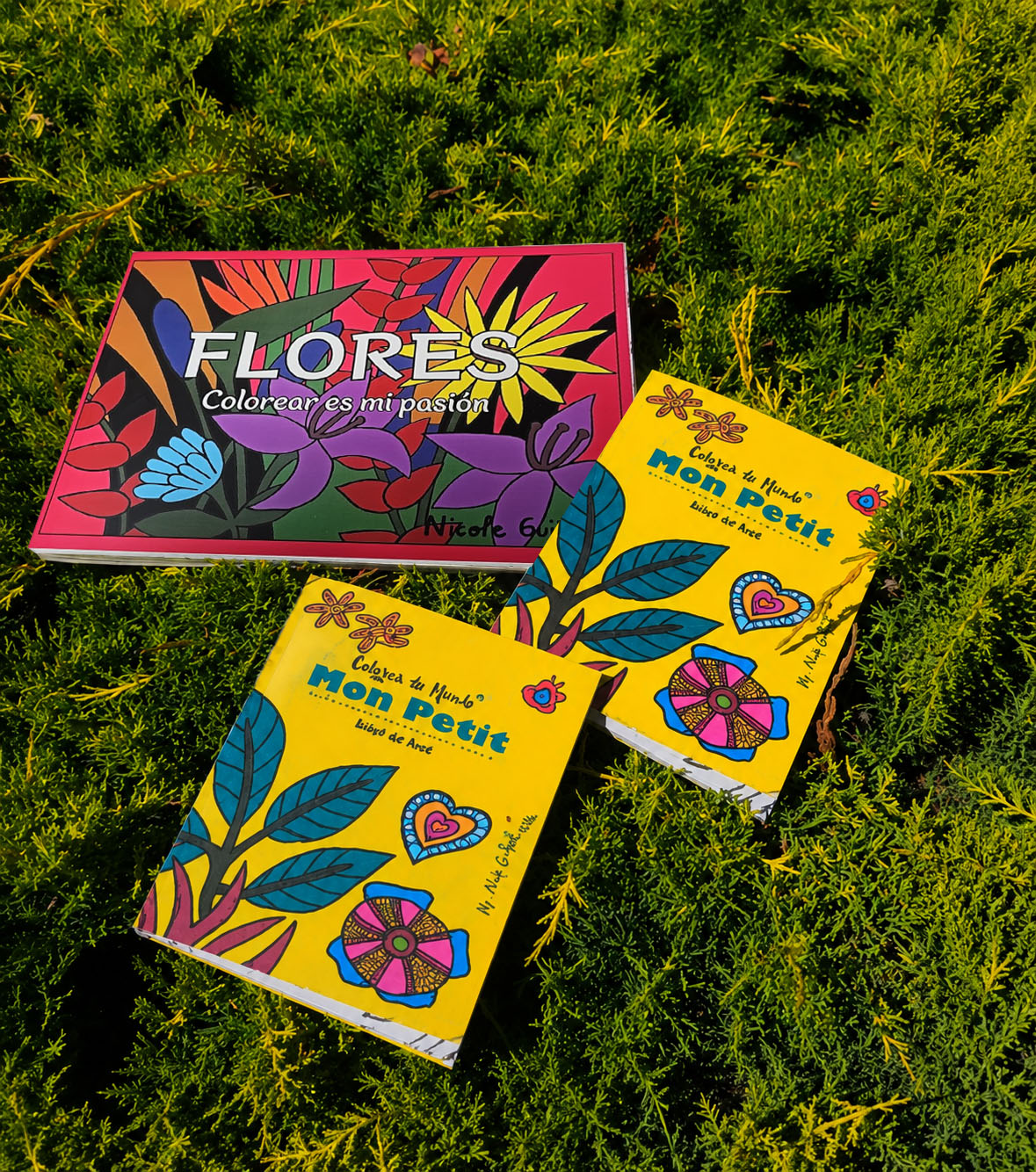 Pack Creativo: Art Book Flores + 2 Mon Petit